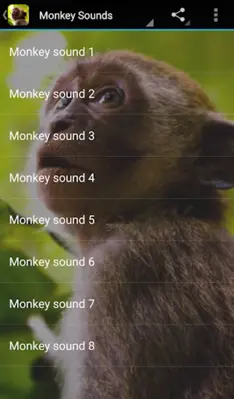 🐒 Monkey Sounds android App screenshot 0